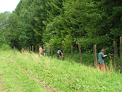 DIVERS 2009 639
